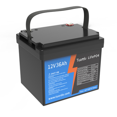 AGV 鉛酸交換電池 MSDS 12V 36Ah リチウム 深循環型